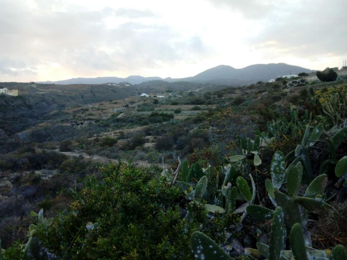 La Casita De Campo Villa Arico Viejo Esterno foto